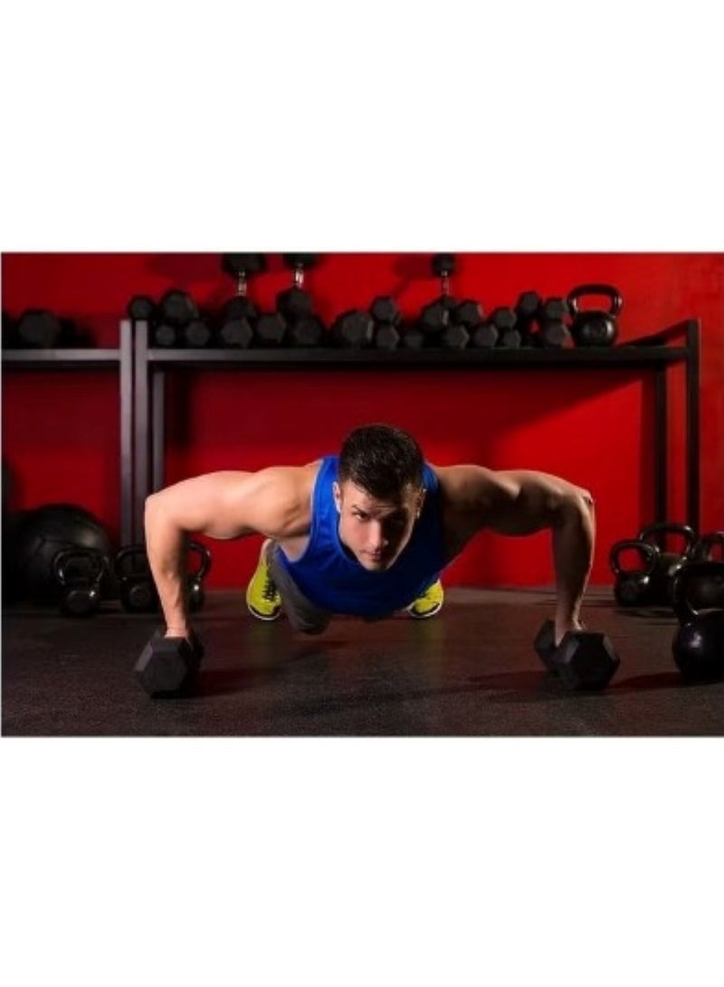 NYVIO 10 KG Rubber Hex Dumbbell with Anti-Slip Chrome Handle | Home Gym Strength Training Weight - Image 3